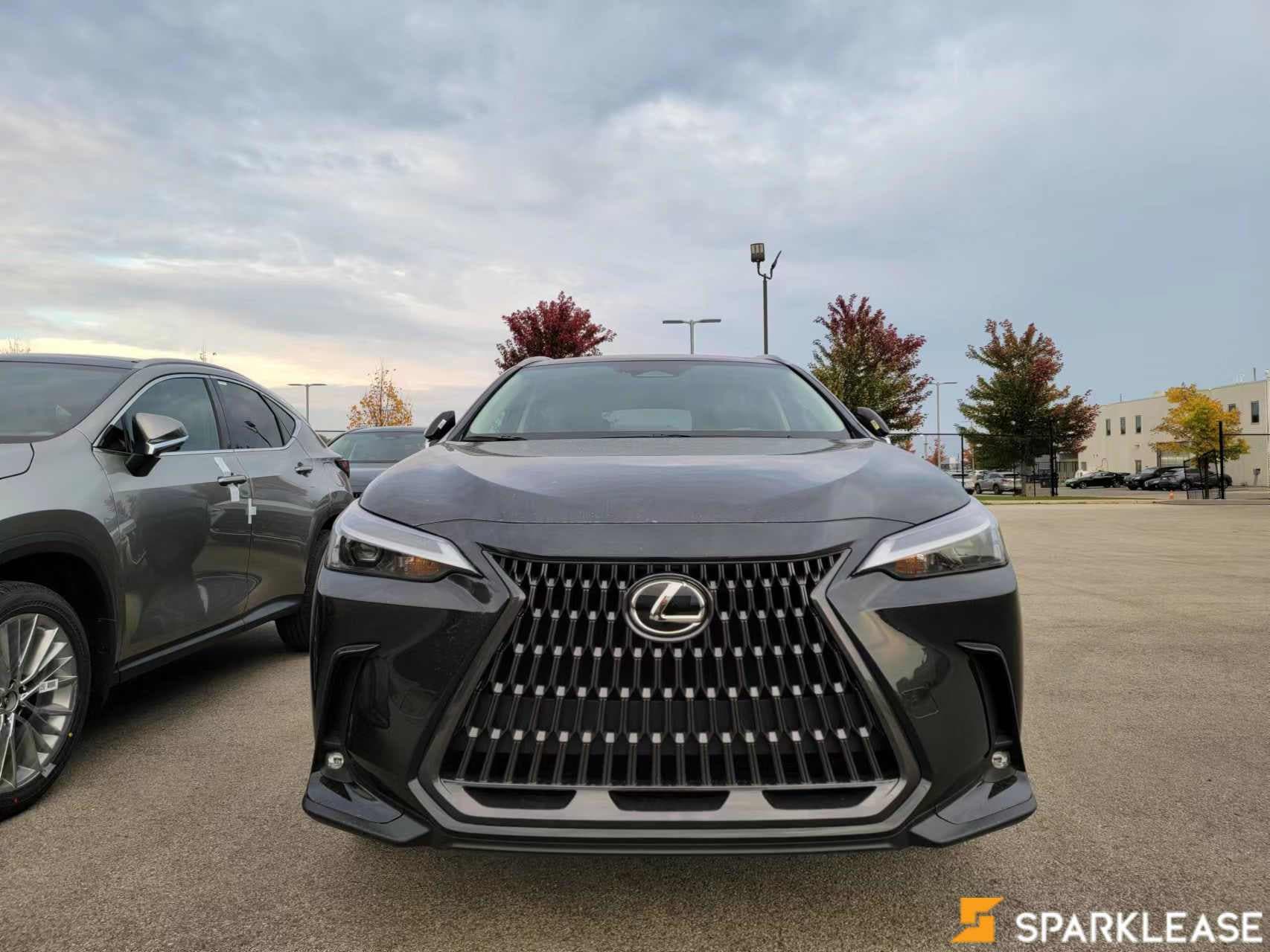 2022 Lexus  NX  NX 250 AWD 