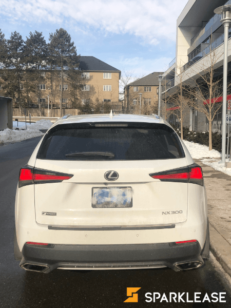 2019 Lexus NX 300 F2
