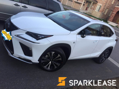 2019 Lexus NX 300 F sport 2