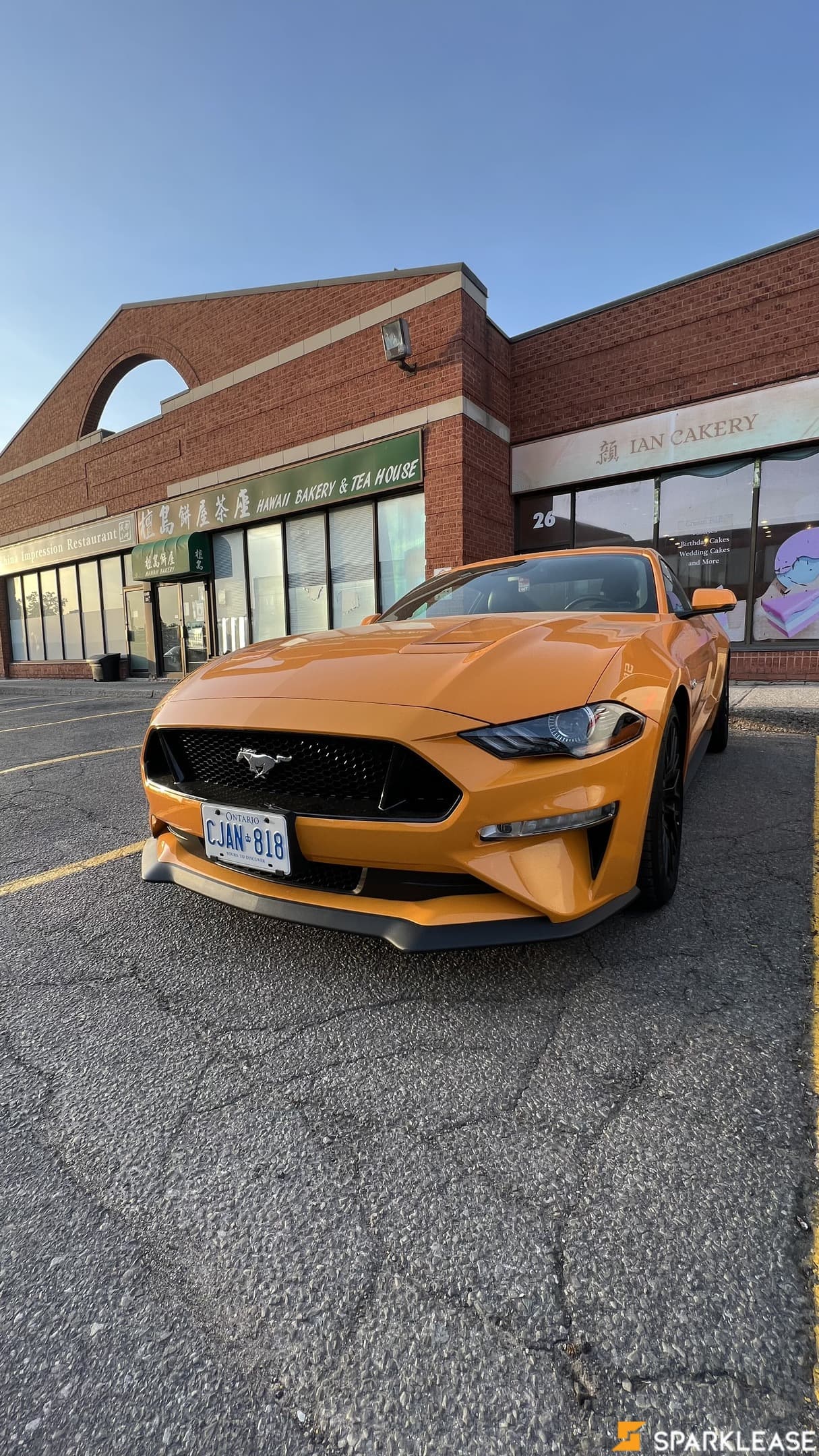2019 Ford Mustang GT Premium Fastback