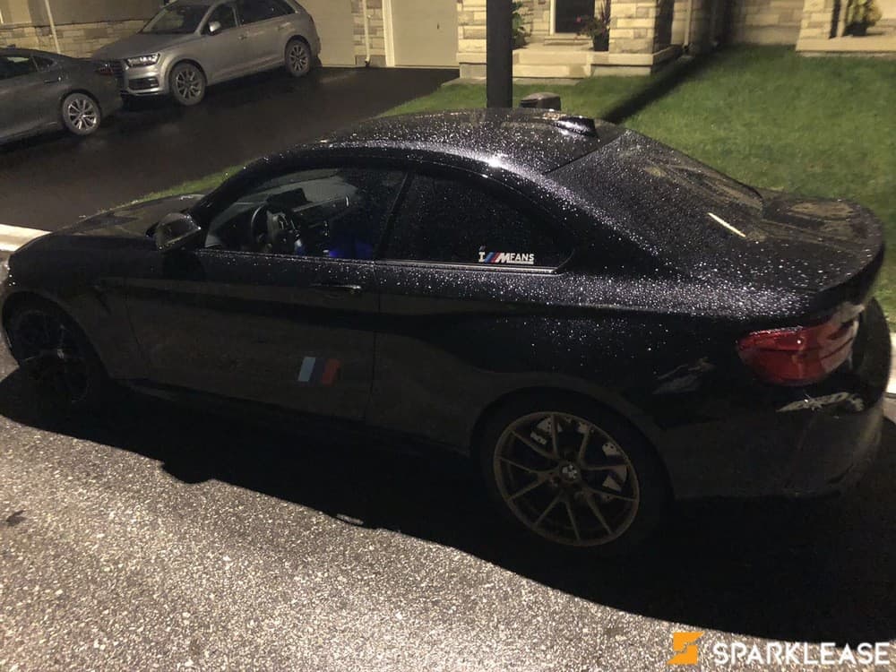 2018 BMW M2 Black Shadow Edition 