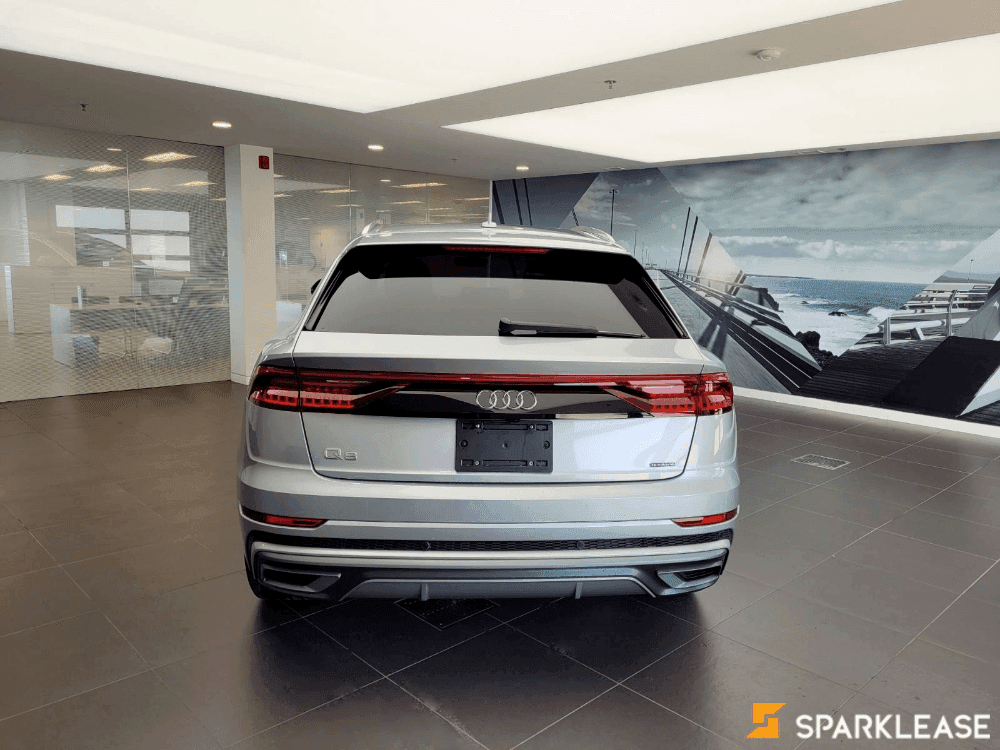 2019 Audi Q8 Technik