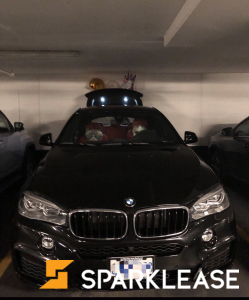 2019 BMW X6