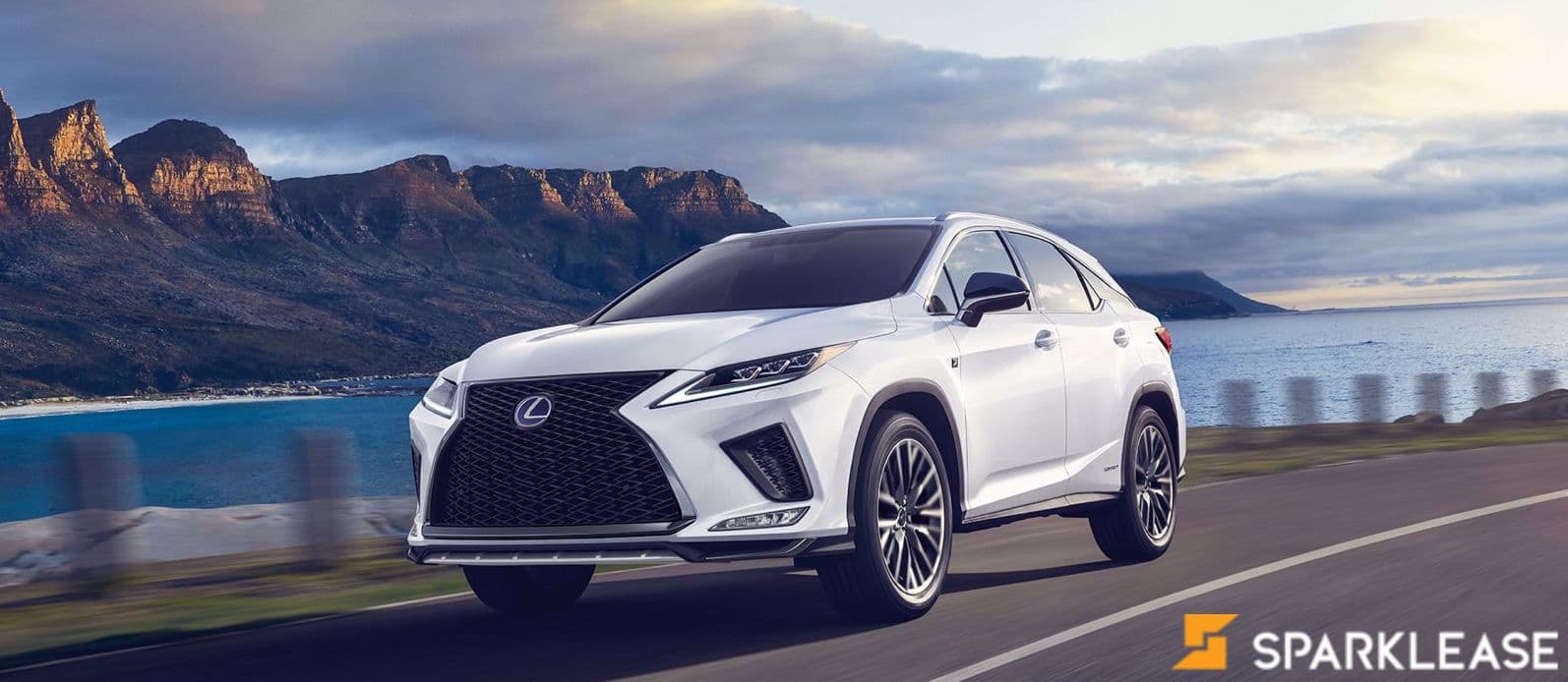 2022 Lexus  RX 450h 混动车