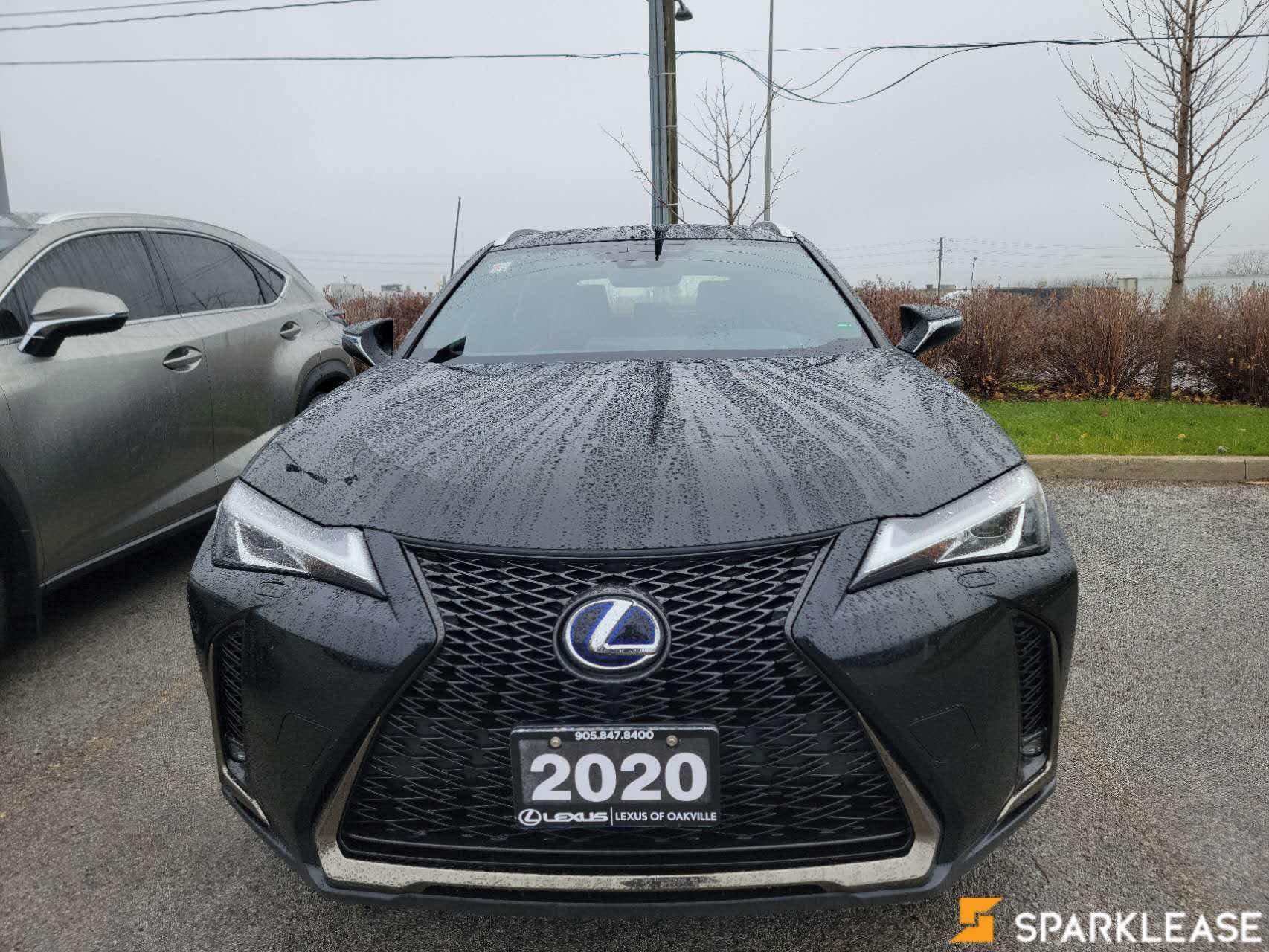 2020 Lexus  UX 250h F-Sport 1 现车