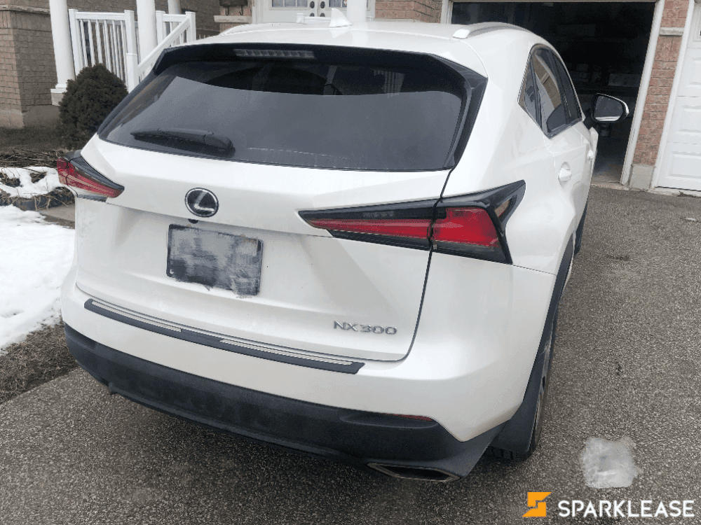 2019 Lexus NX300