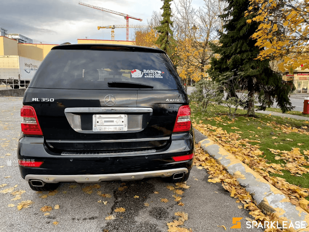 2010 Mercedes-Benz ML 350