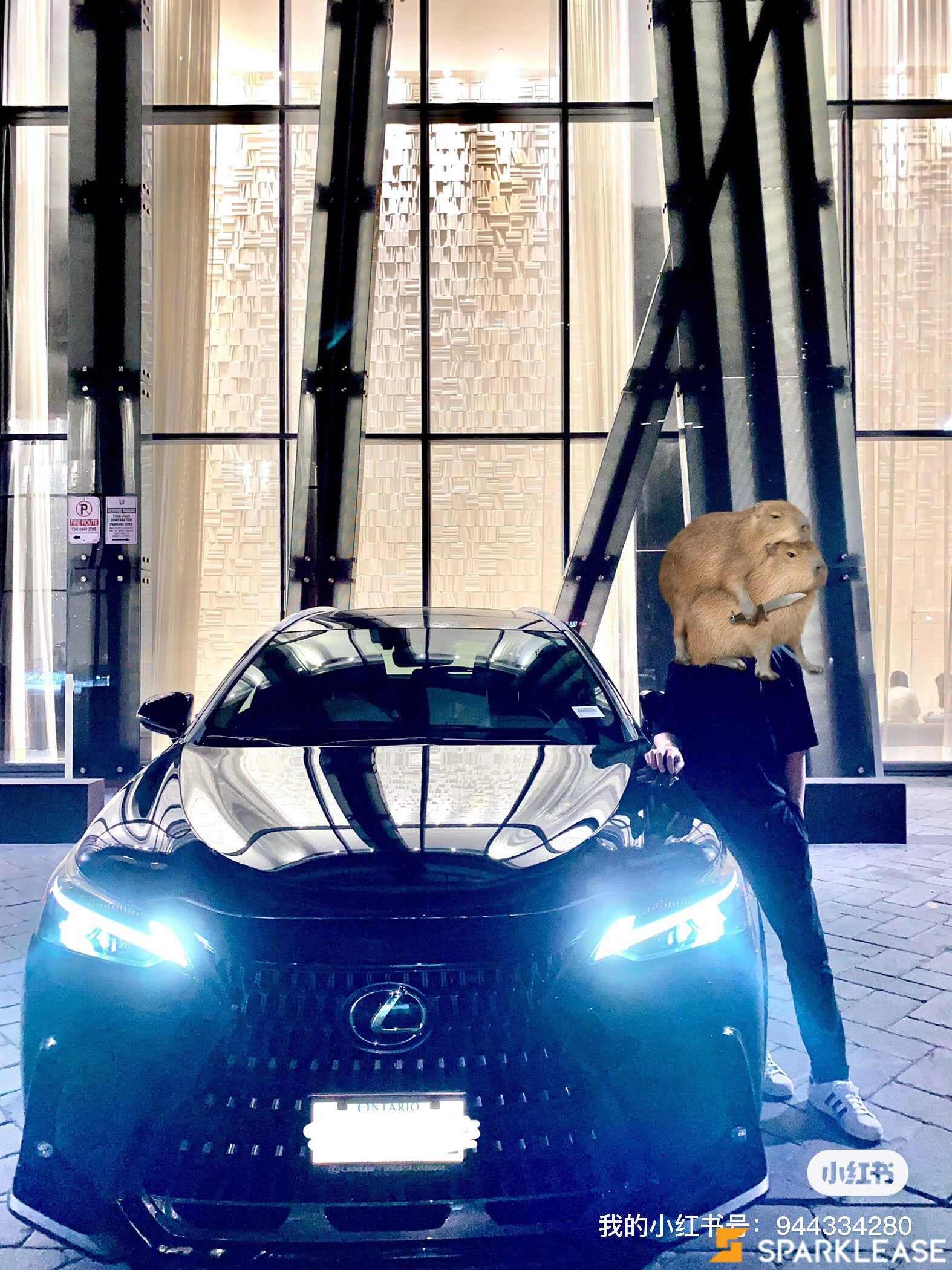 2022 Lexus NX