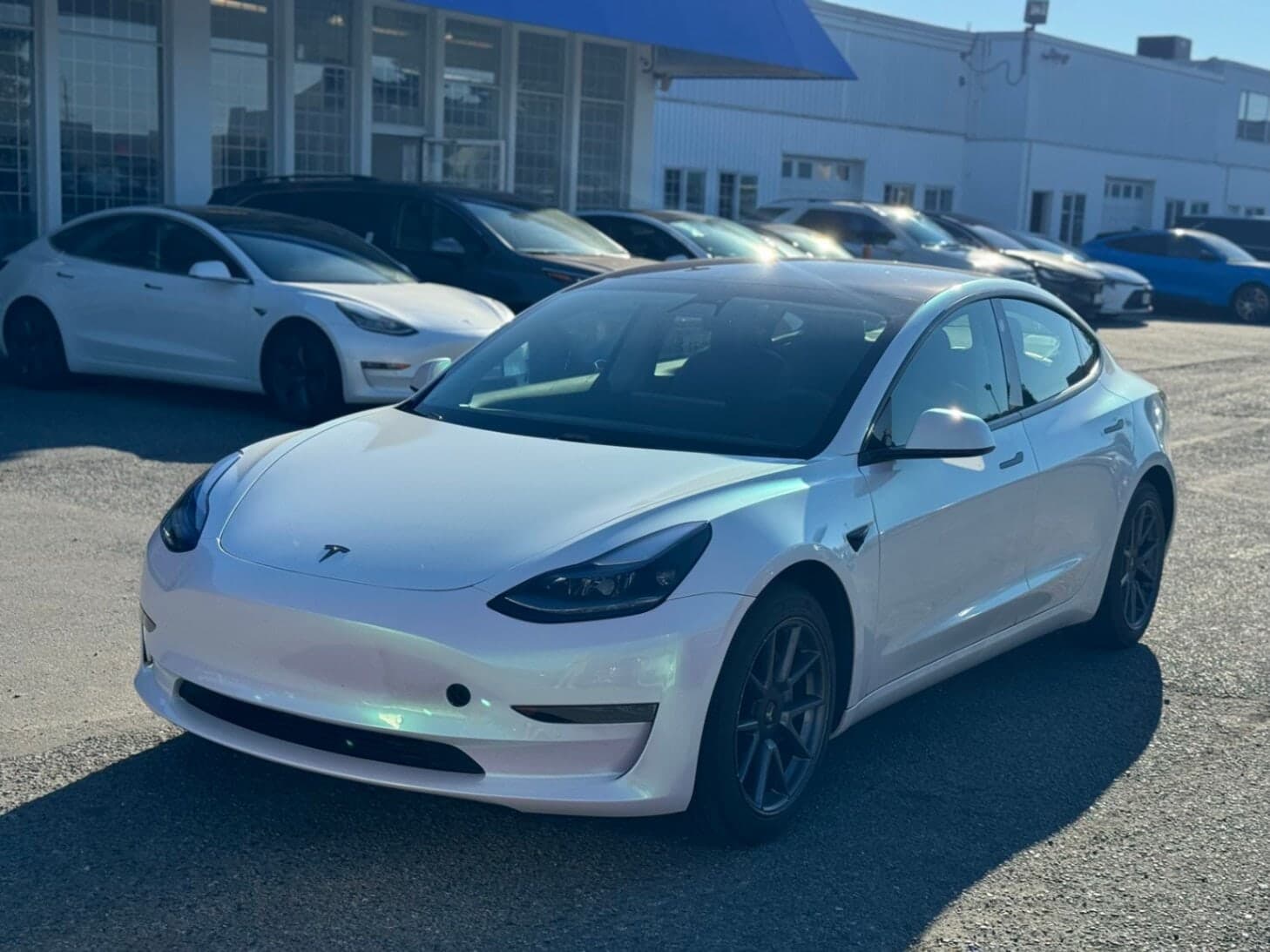 2021 Tesla Model 3 Standard Range RWD/Local Car/One Owner