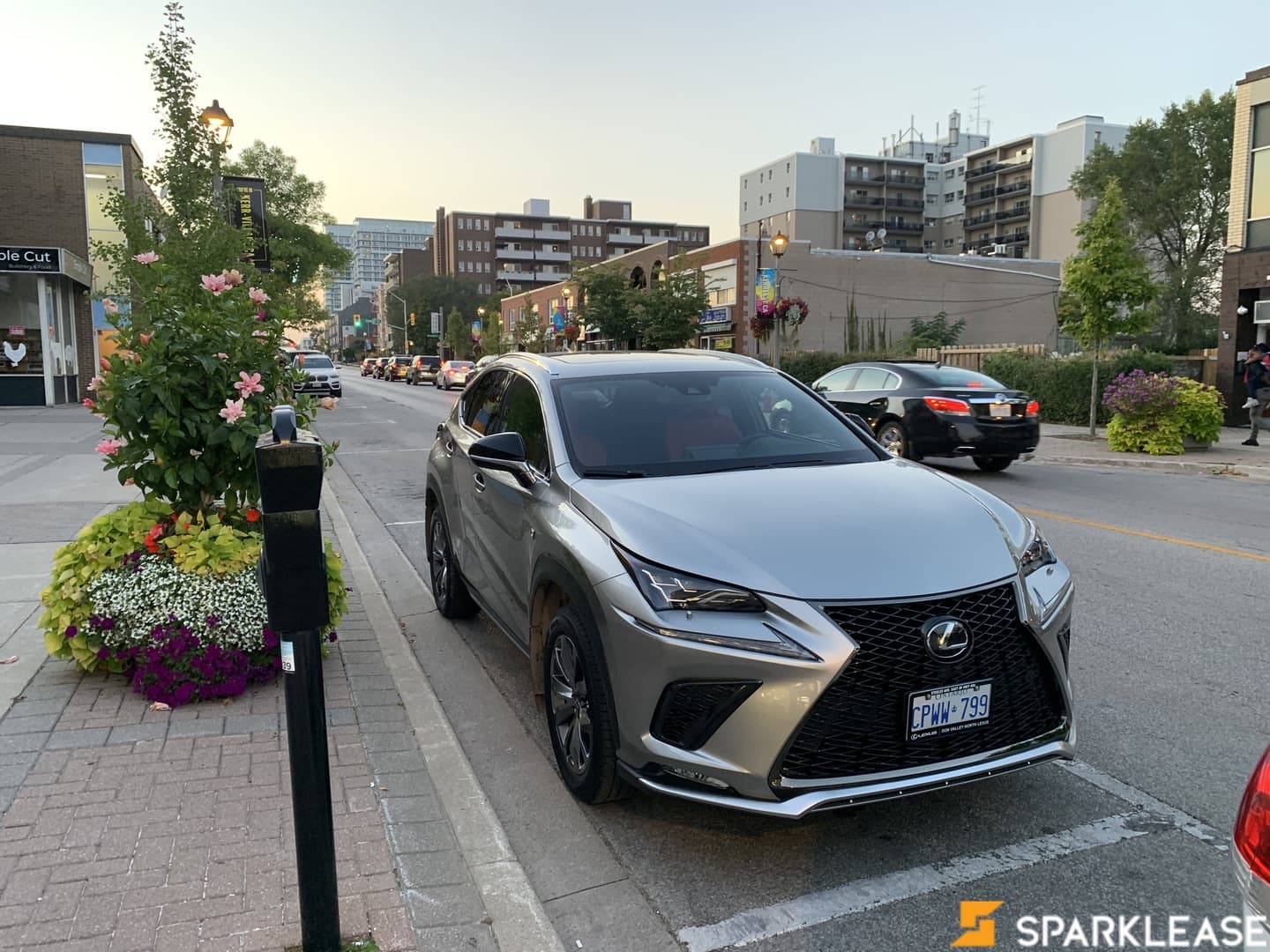 2020 Lexus NX 