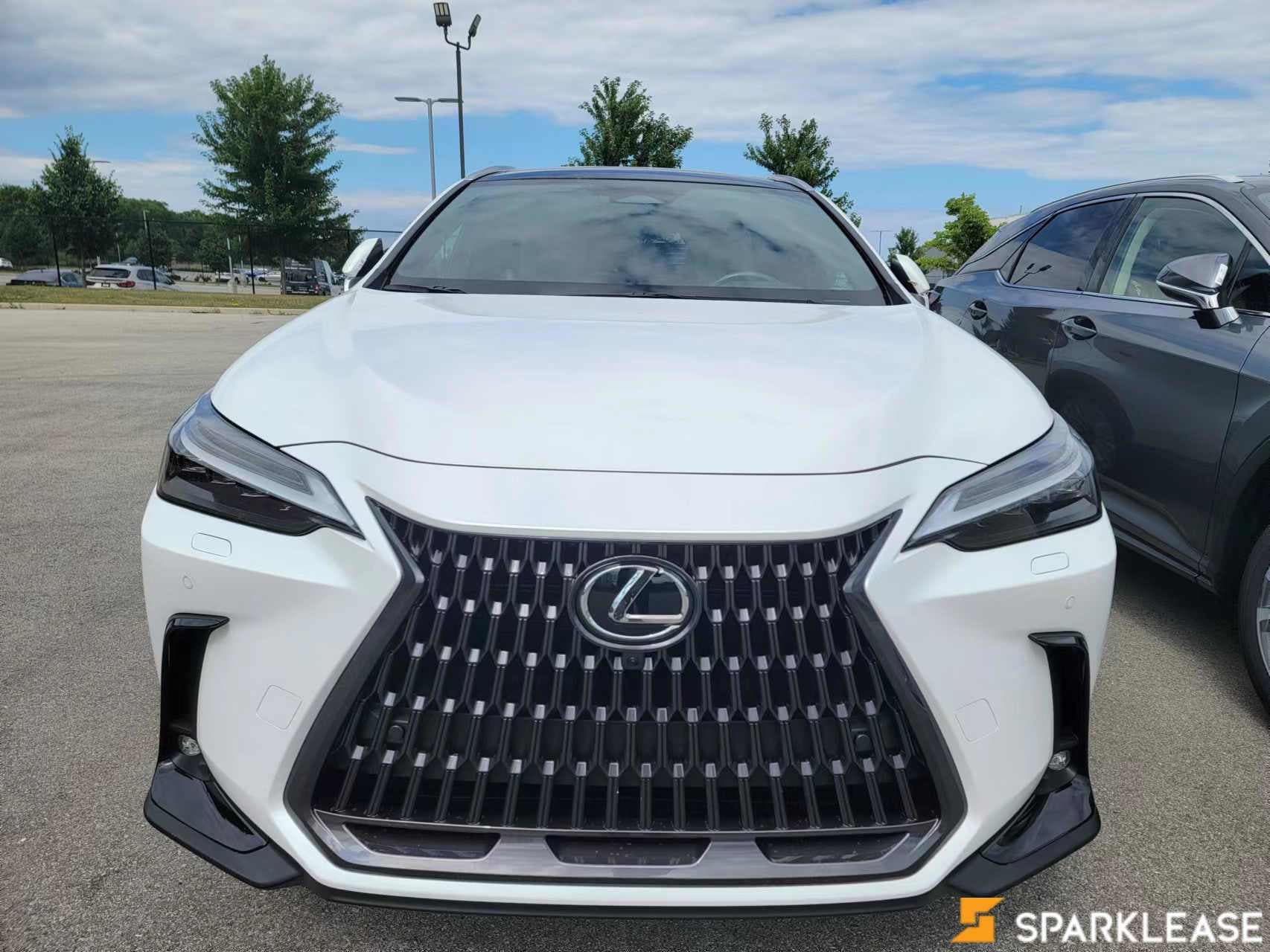 2022 Lexus  NX350h LUXURY 混动 