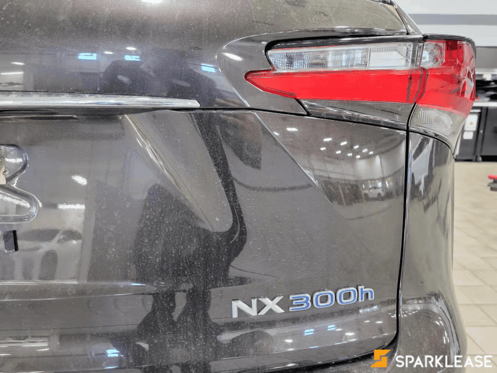 2015 Lexus NX 300h 顶配