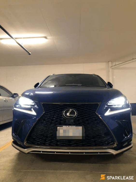 2020 Lexus NX Blue F Sprot 1