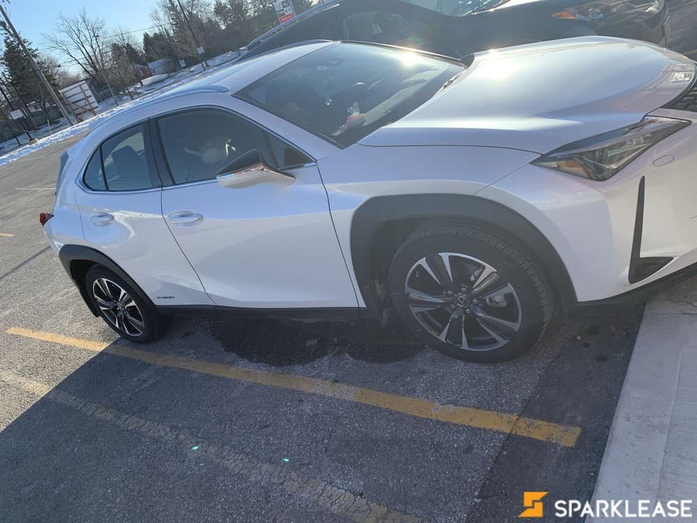 2020 Lexus UX250h
