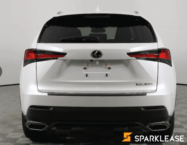 2020 Lexus NX Premium Package