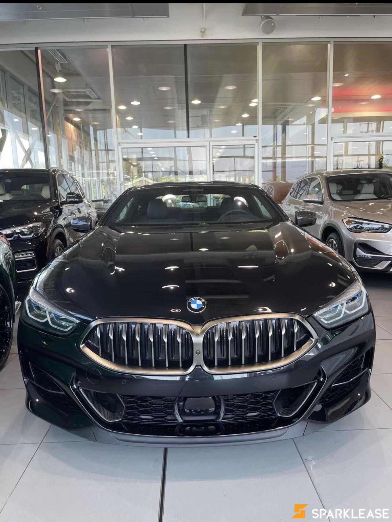 2020 BMW 8 Series M850i xDrive Coupe