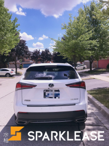 2020 Lexus NX