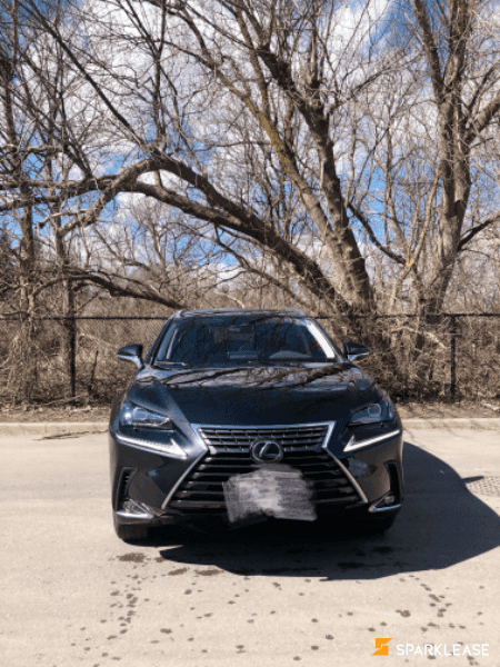 2020 Lexus NX300