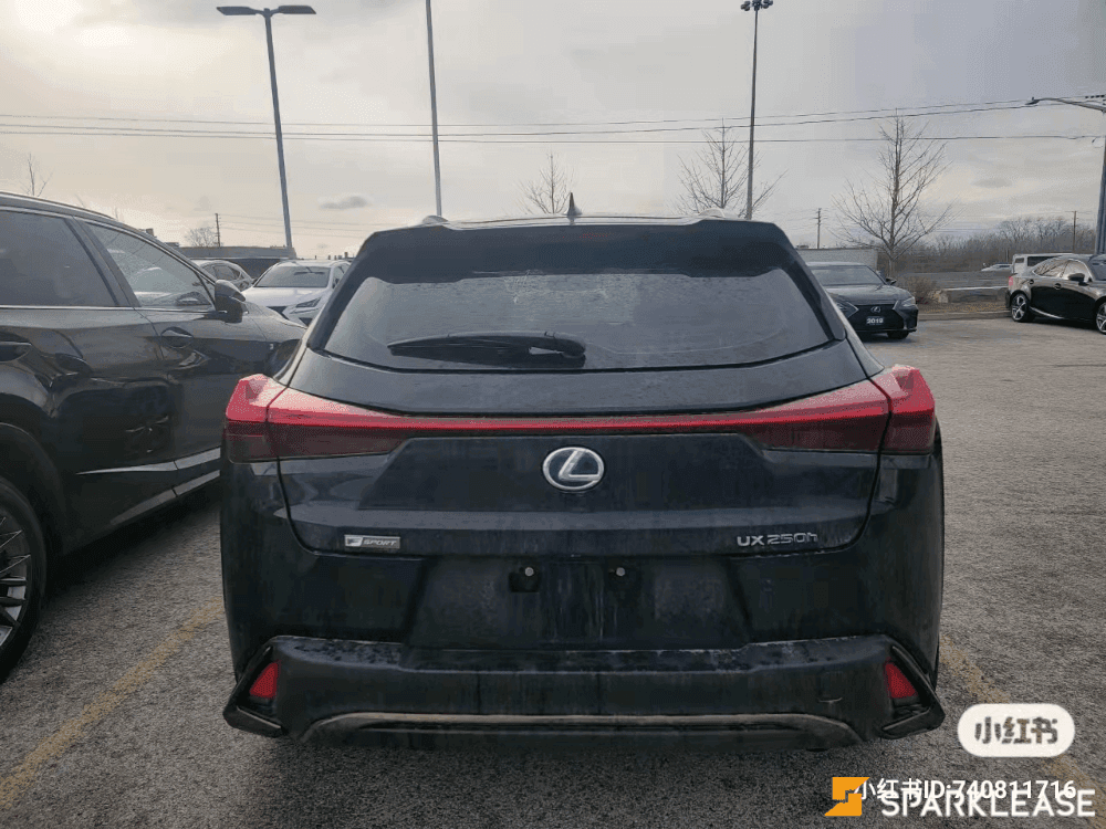 2020 Lexus UX 250h F-Sport 2 顶配