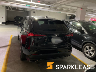 2019 Lexus NX