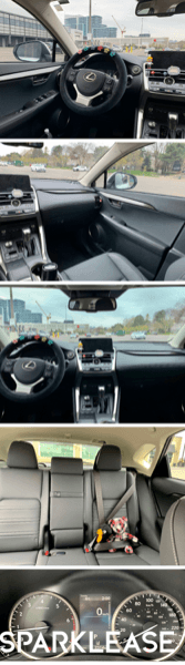 2020 Lexus NX300