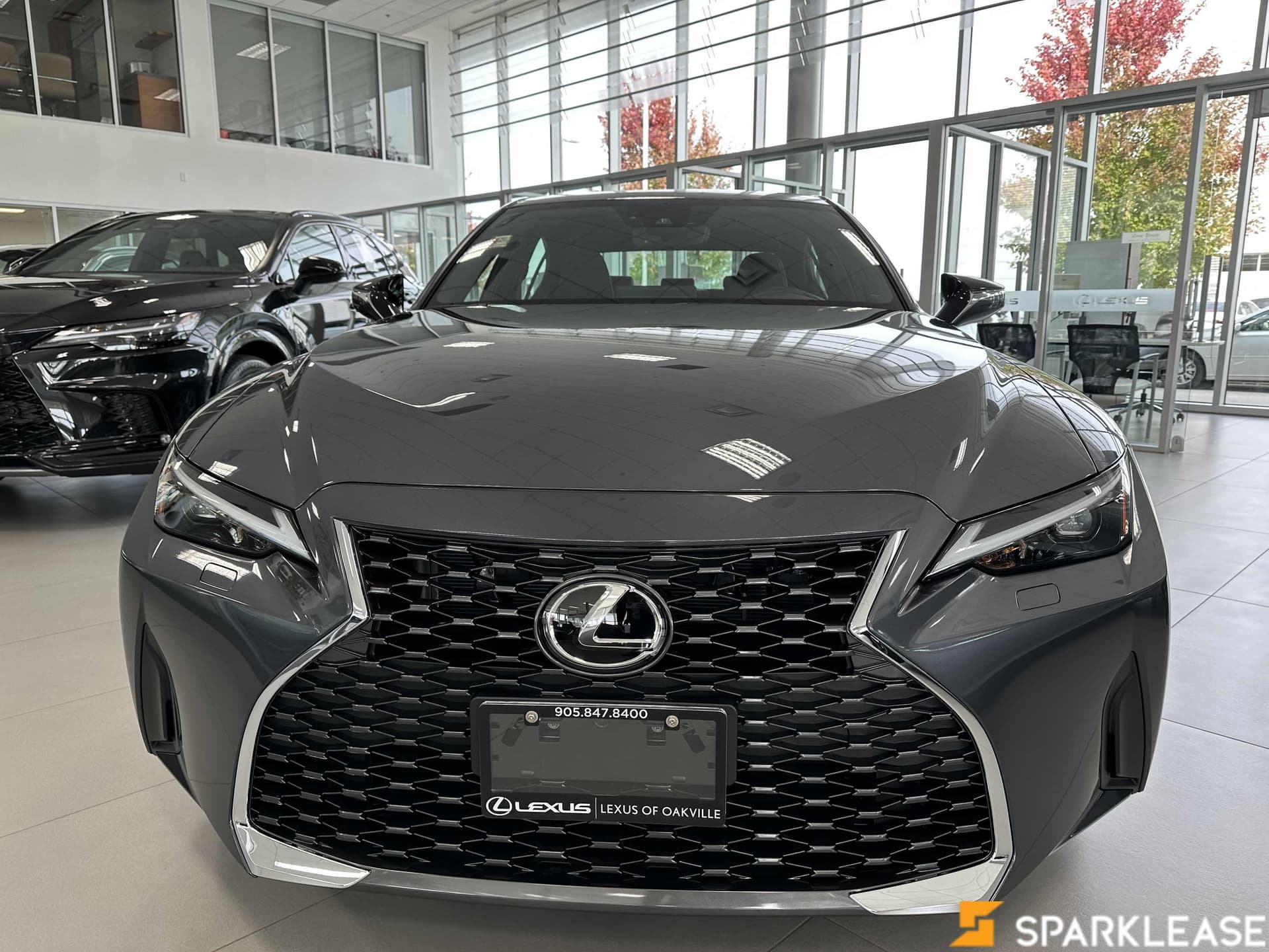 2023 Lexus  IS 300 Premium 现车
