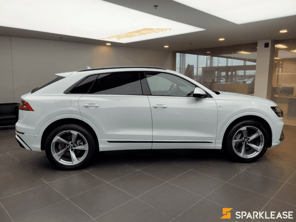 2019 Audi Q8 Technik
