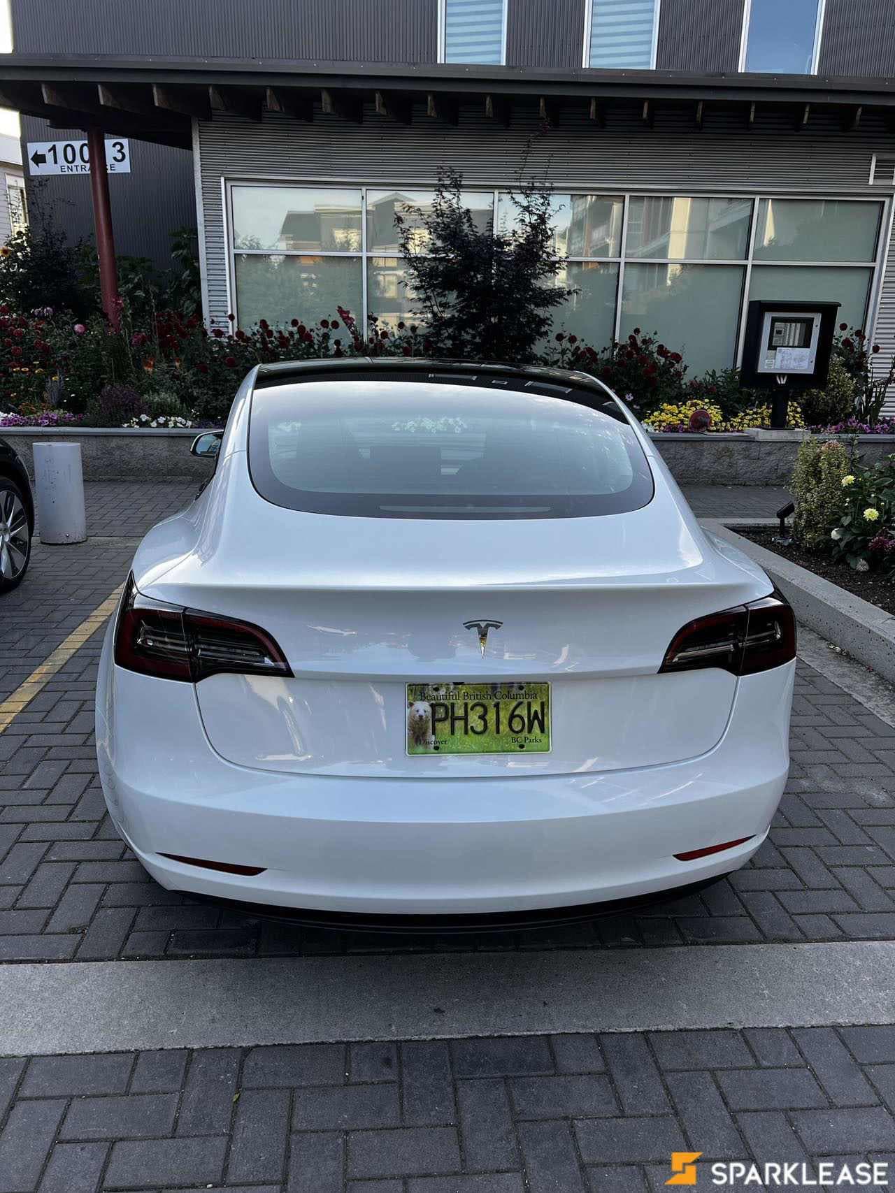 2023 Tesla Model 3 RWD