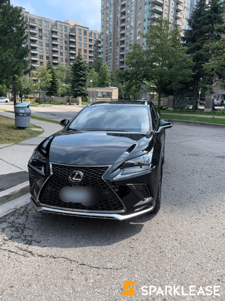 2020 Lexus NX 300 F2 顶配