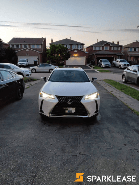 2019 Lexus UX 250h