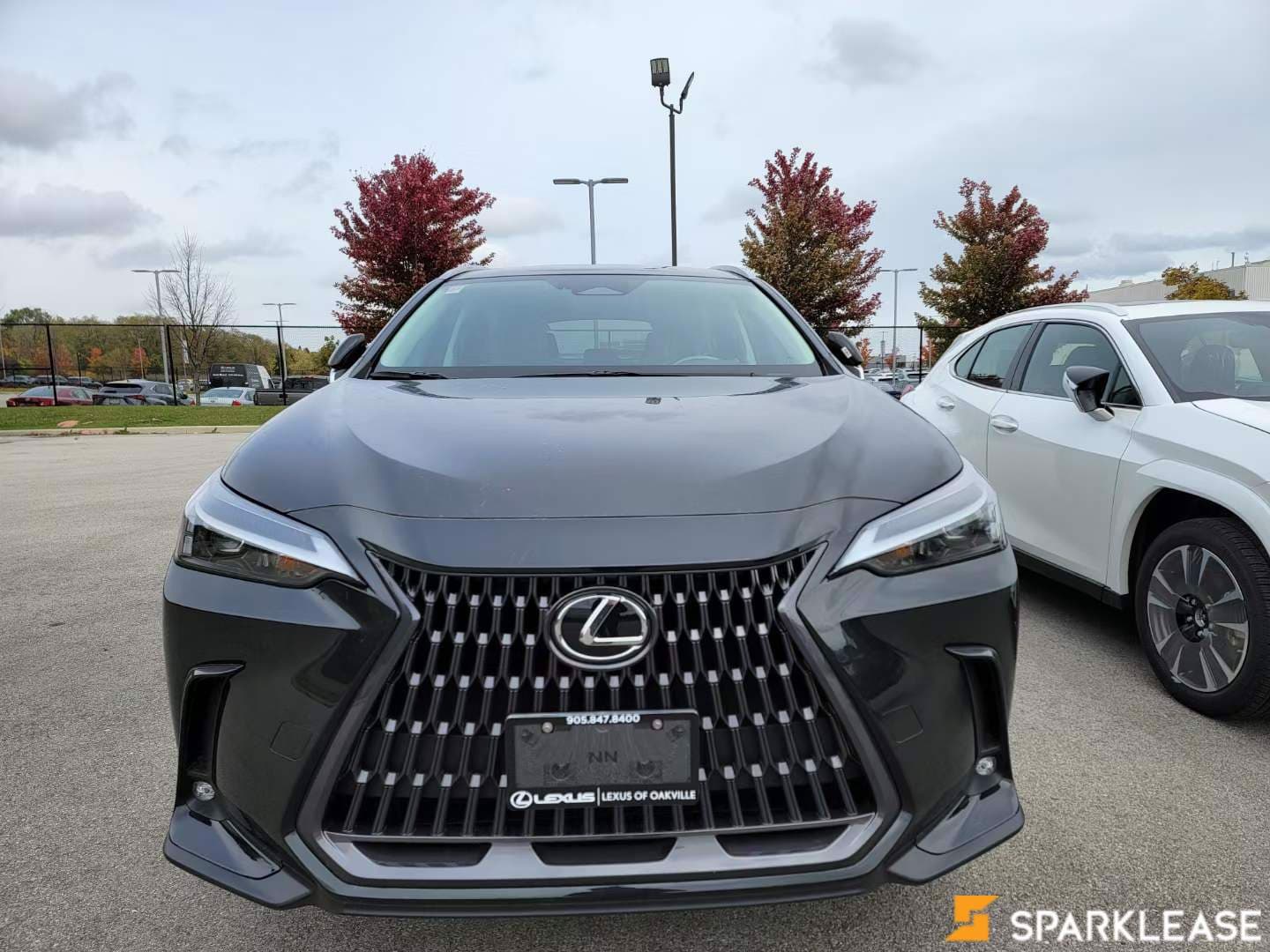 2022 Lexus  NX 350 Luxury Package