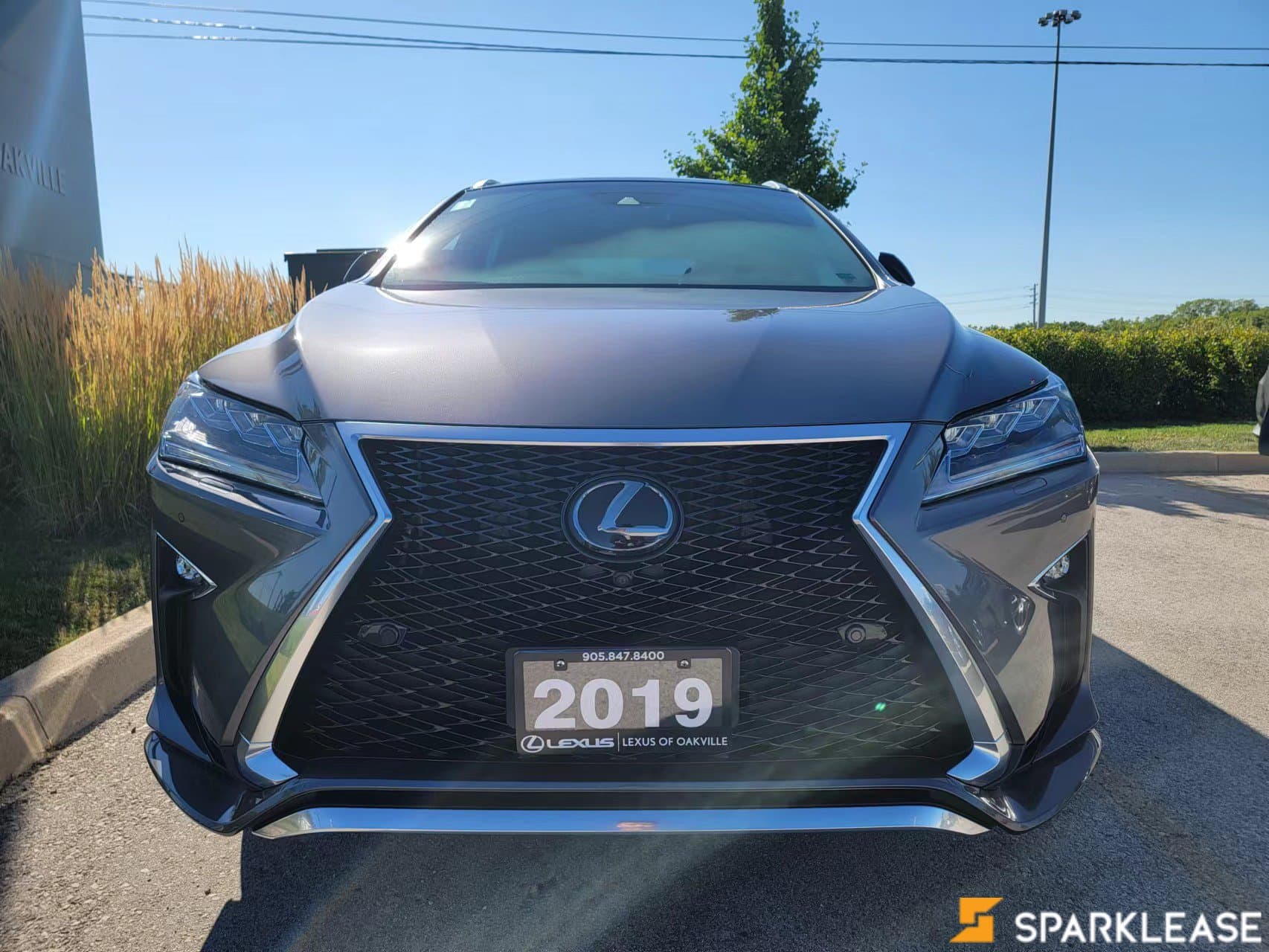 2019 Lexus  RX 350 F-Sport Series 3 (顶配）