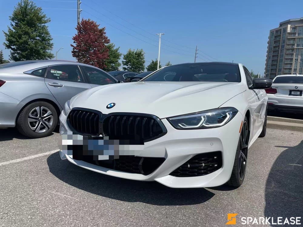 2019 BMW 8