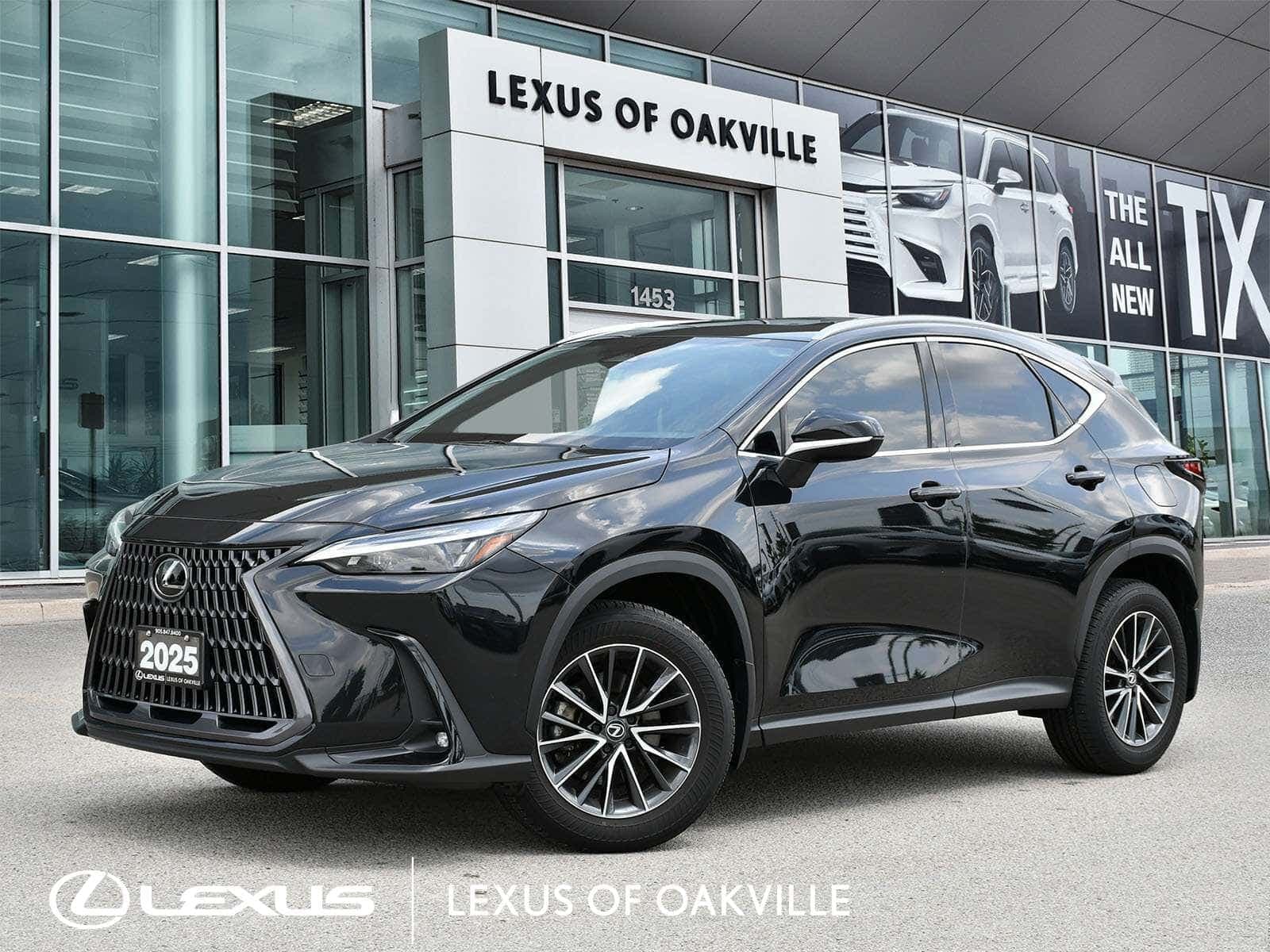 2025 Lexus NX 350 NX 350