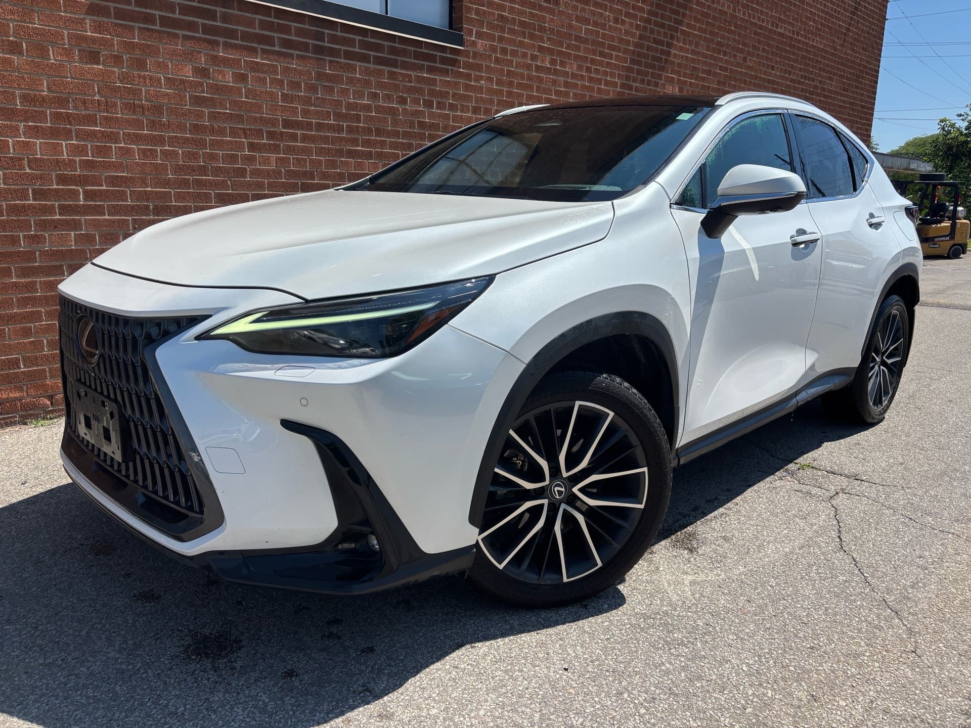 2024 Lexus NX 350 NX 350 Executive AWD