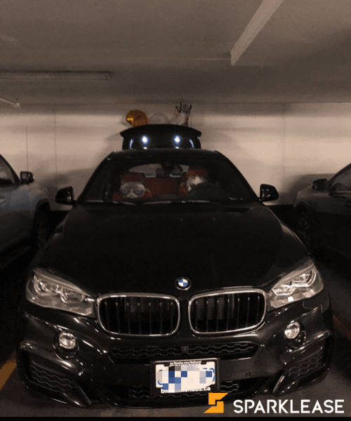 2019 BMW X6