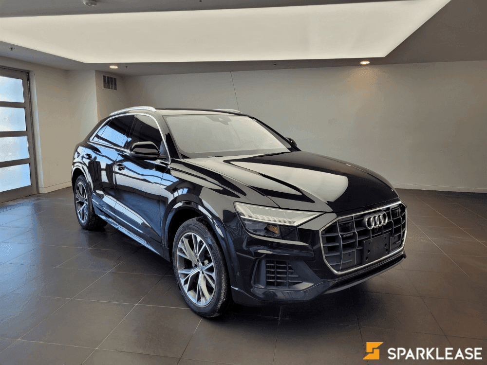 2019 Audi Q8 Technik