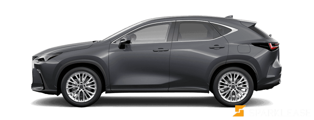 2024 Lexus  NX 350h 混合动力 Luxury （11月份）