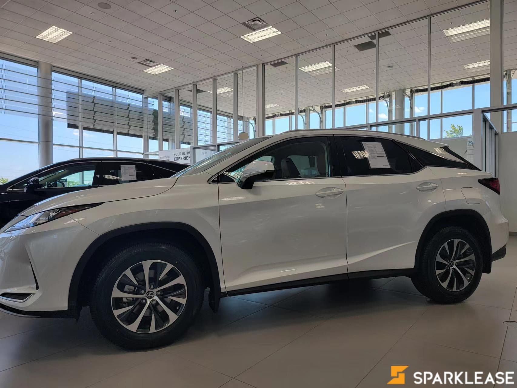 2022 Lexus  RX 350 PREMIUM 标配