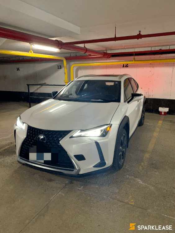 2019 Lexus UX250h