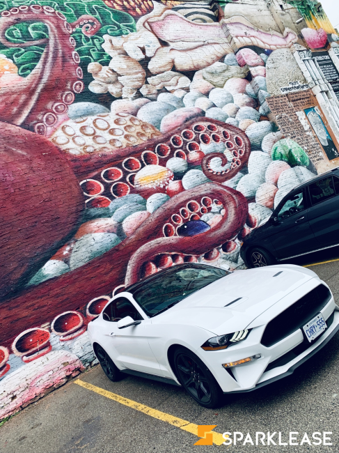 2019 Ford Mustang