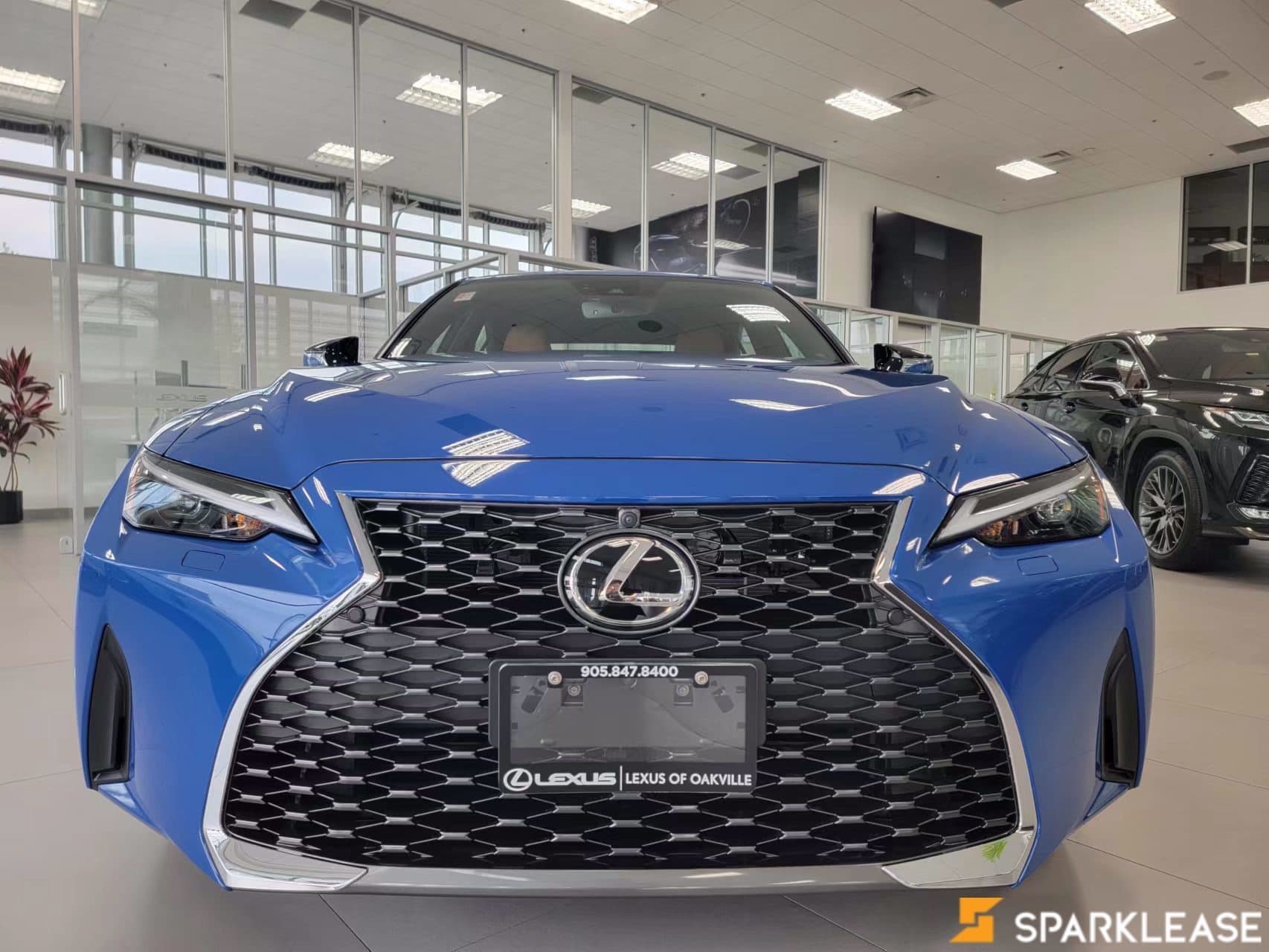 2022 Lexus  IS 300 顶配
