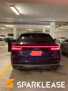 2019 Audi Q8