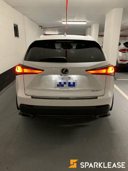 2019 Lexus NX300