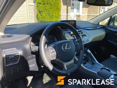 2019 Lexus NX300