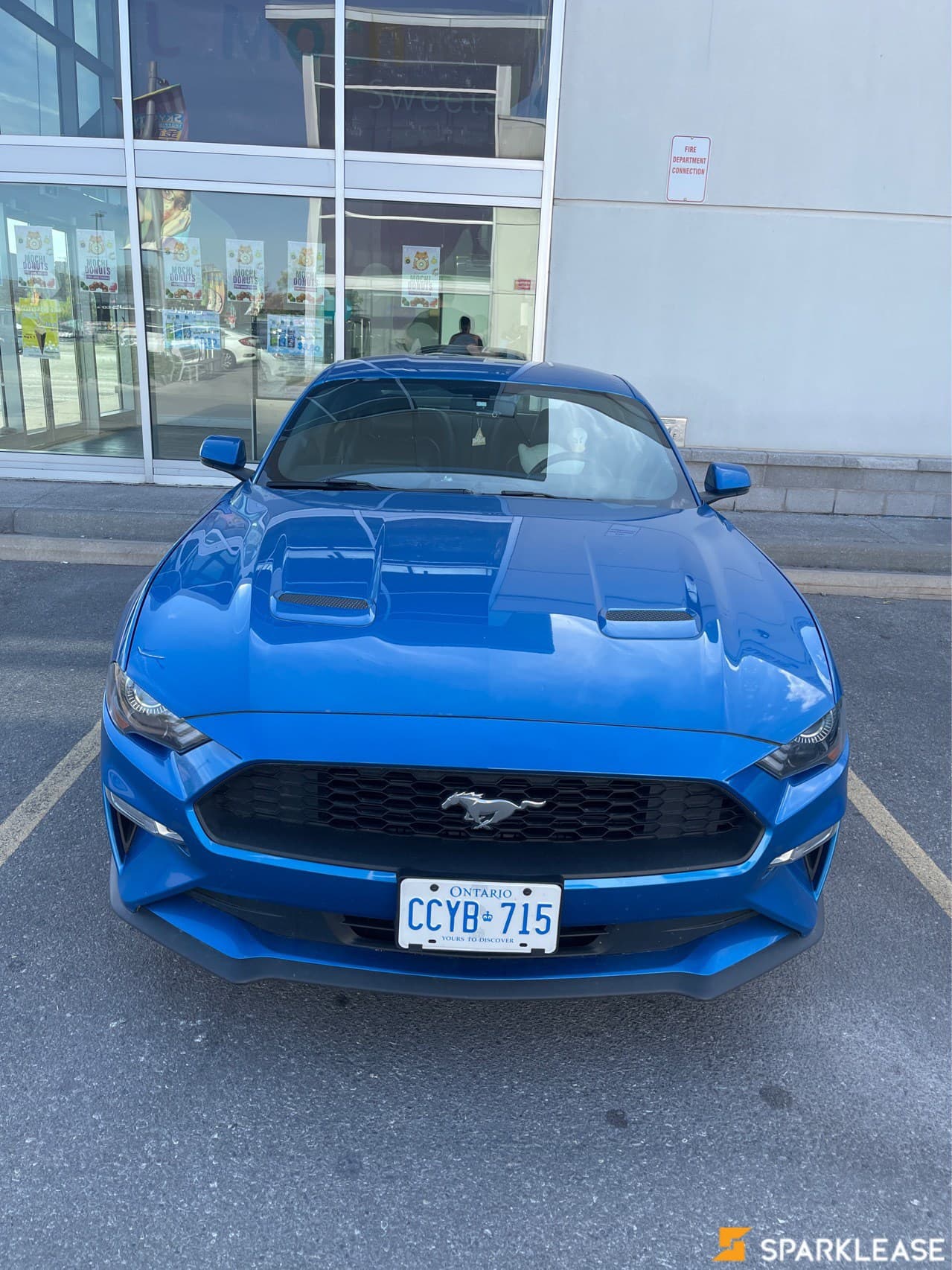 2019 Ford Mustang  EcoBoost