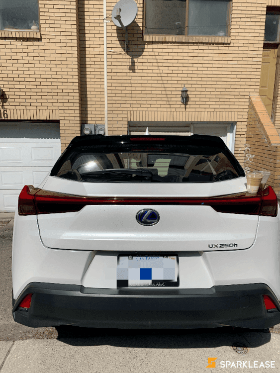 2019 Lexus UX250h