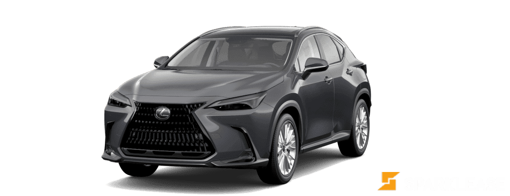 2024 Lexus  NX 350h 混合动力 Luxury （11月份）