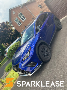 2019 Lexus NX300 F Sport2