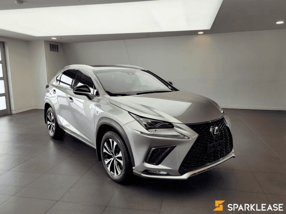 2019 Lexus NX300